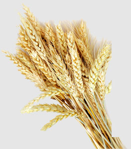 首页- 新宝GG集团创造事业平台