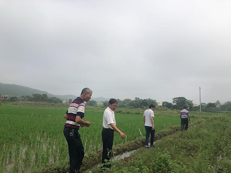 首页- 新宝GG集团创造事业平台