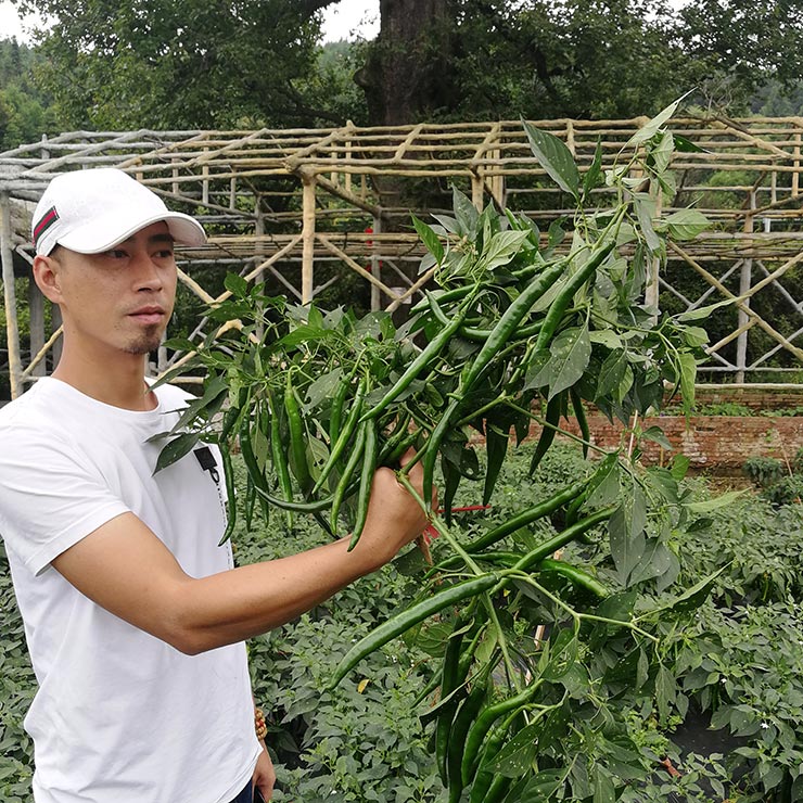 首页- 新宝GG集团创造事业平台