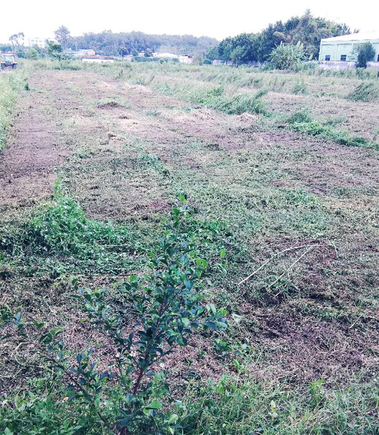 首页- 新宝GG集团创造事业平台