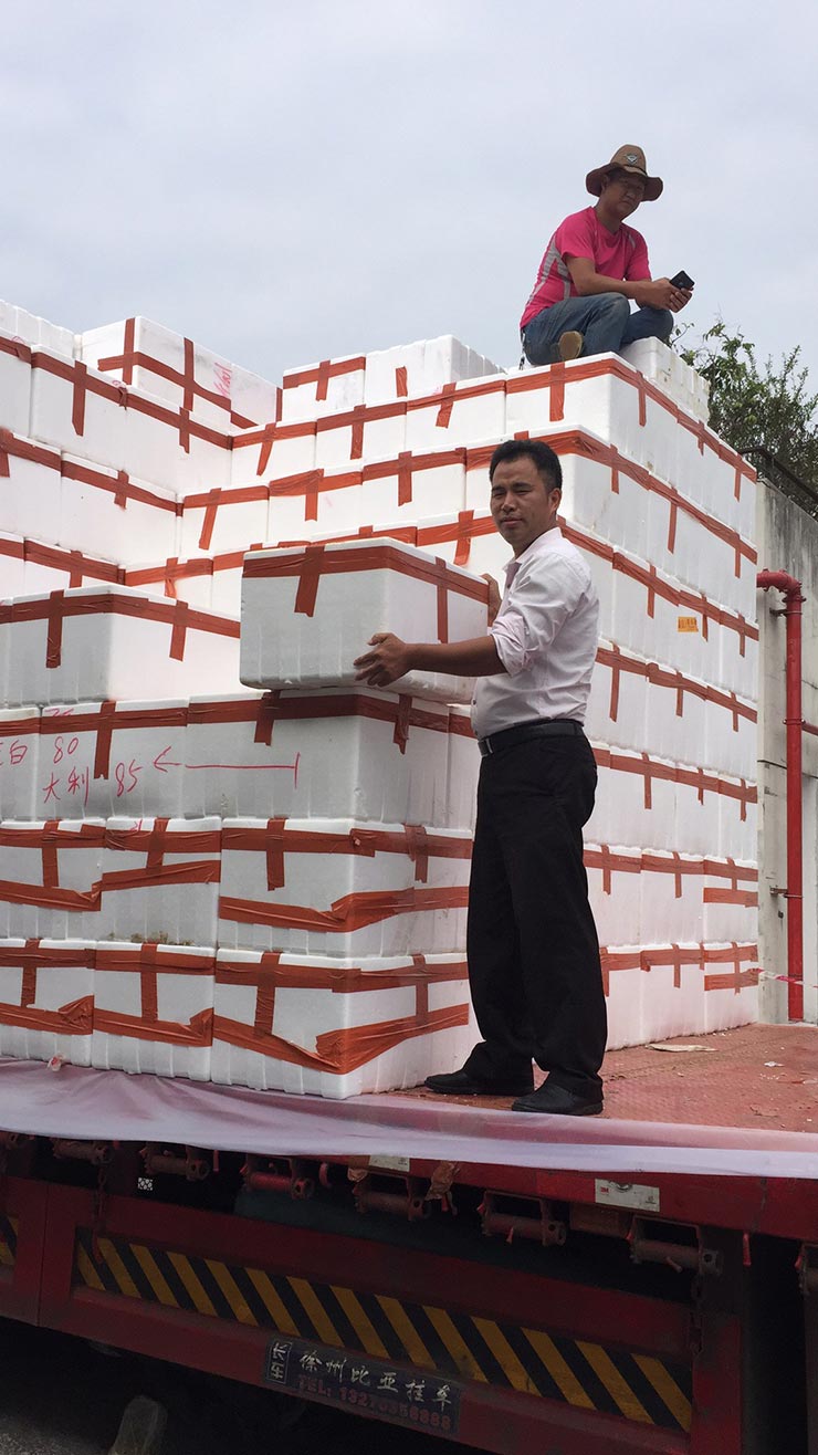 首页- 新宝GG集团创造事业平台