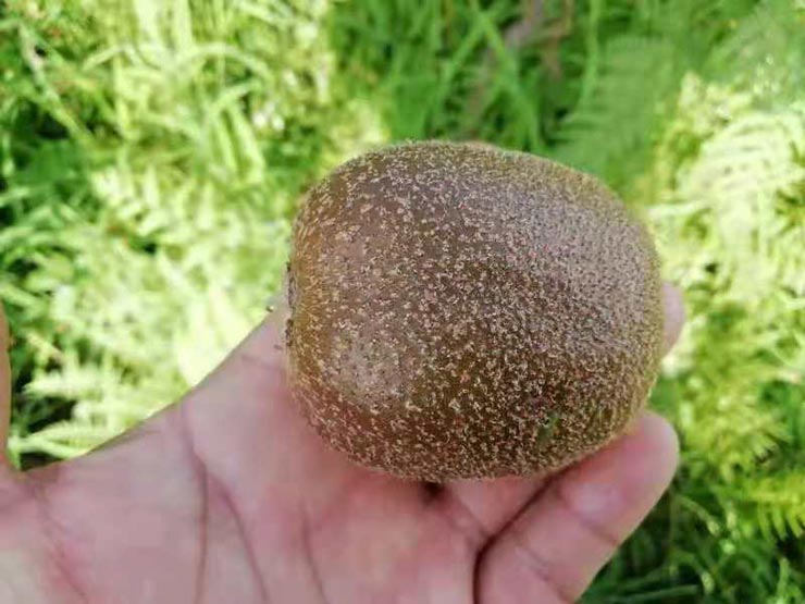 首页- 新宝GG集团创造事业平台