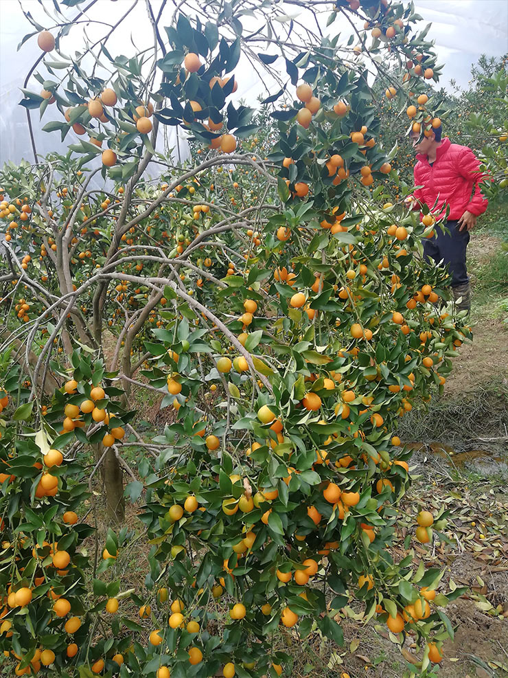 首页- 新宝GG集团创造事业平台