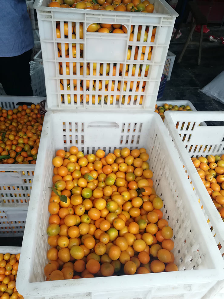 首页- 新宝GG集团创造事业平台