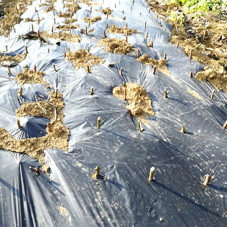 首页- 新宝GG集团创造事业平台