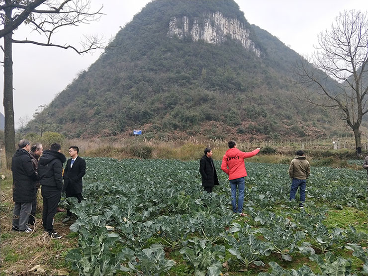 首页- 新宝GG集团创造事业平台