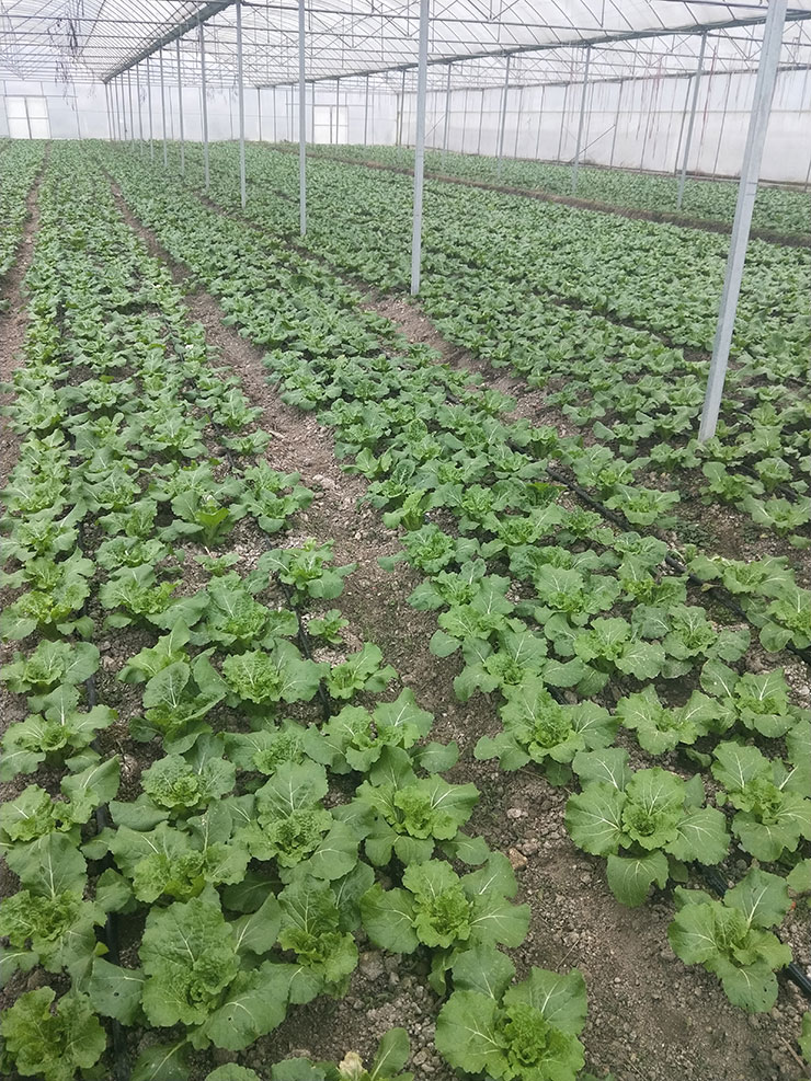 首页- 新宝GG集团创造事业平台