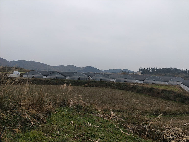 首页- 新宝GG集团创造事业平台