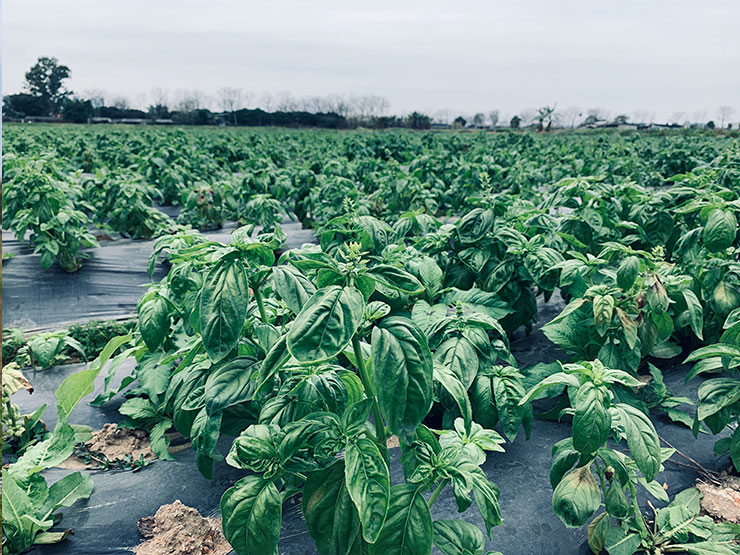 首页- 新宝GG集团创造事业平台