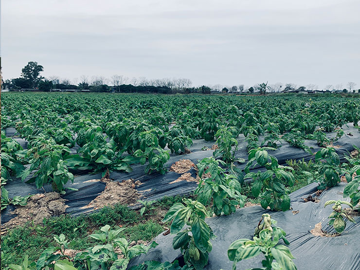 首页- 新宝GG集团创造事业平台
