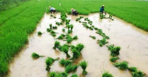 首页- 新宝GG集团创造事业平台