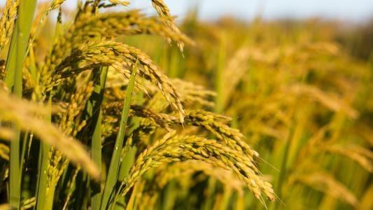 首页- 新宝GG集团创造事业平台