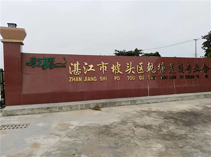 首页- 新宝GG集团创造事业平台