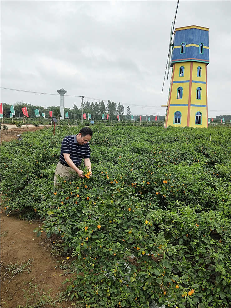 首页- 新宝GG集团创造事业平台