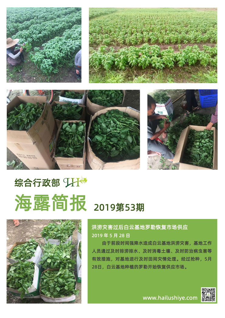 首页- 新宝GG集团创造事业平台