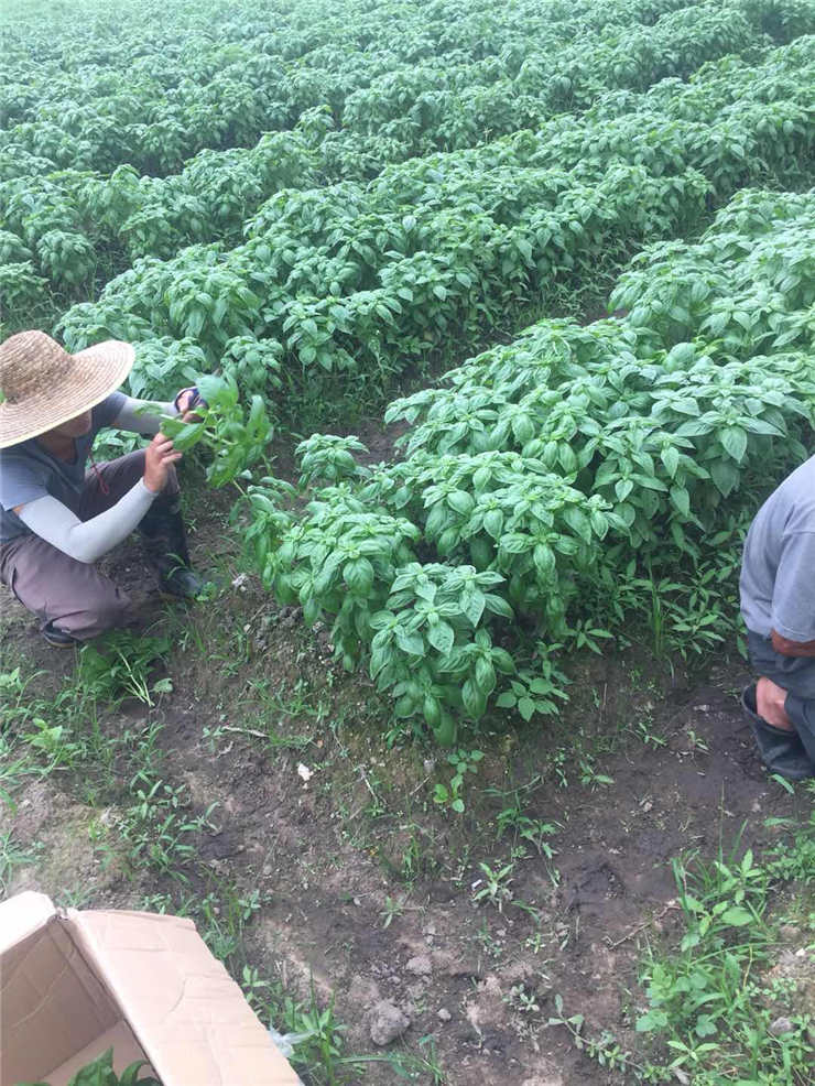 首页- 新宝GG集团创造事业平台