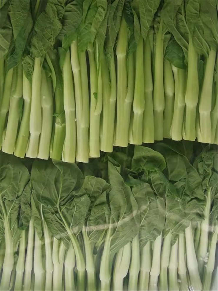 首页- 新宝GG集团创造事业平台