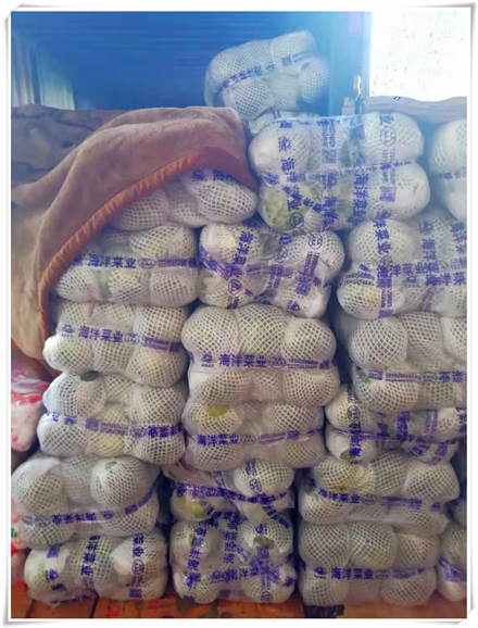 首页- 新宝GG集团创造事业平台