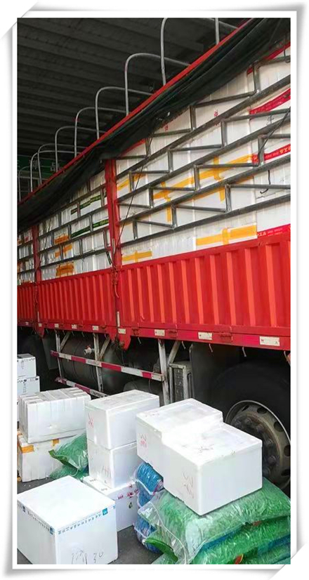 首页- 新宝GG集团创造事业平台