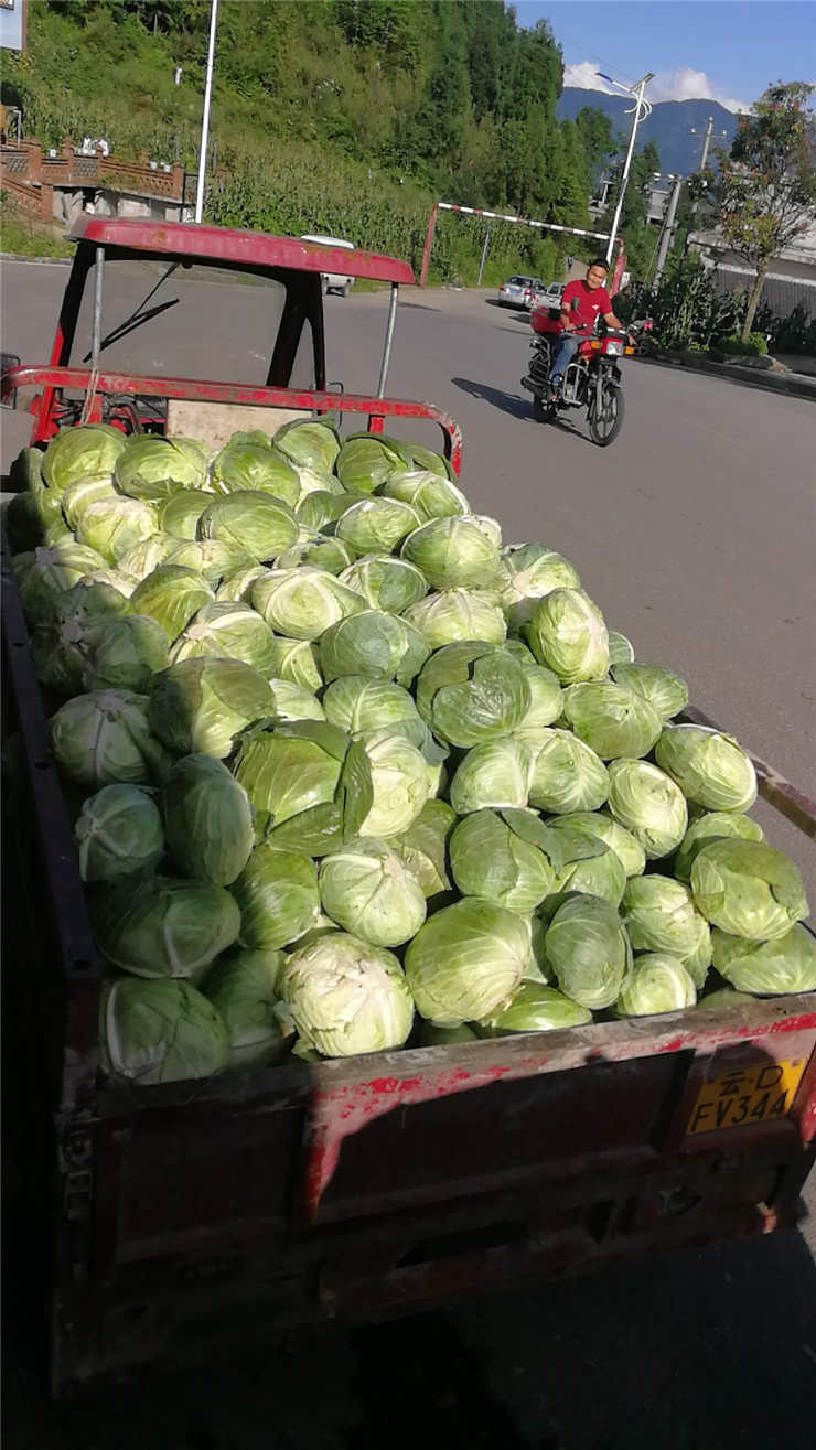 首页- 新宝GG集团创造事业平台