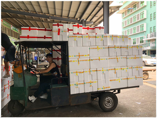 首页- 新宝GG集团创造事业平台