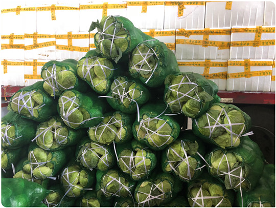 首页- 新宝GG集团创造事业平台