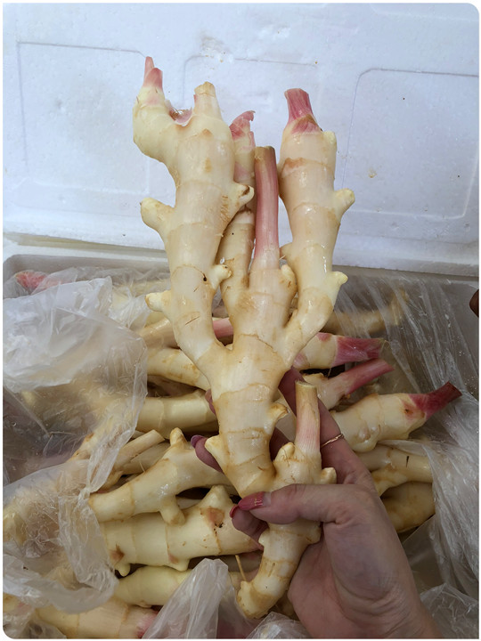 首页- 新宝GG集团创造事业平台