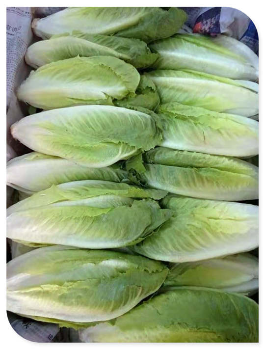 首页- 新宝GG集团创造事业平台