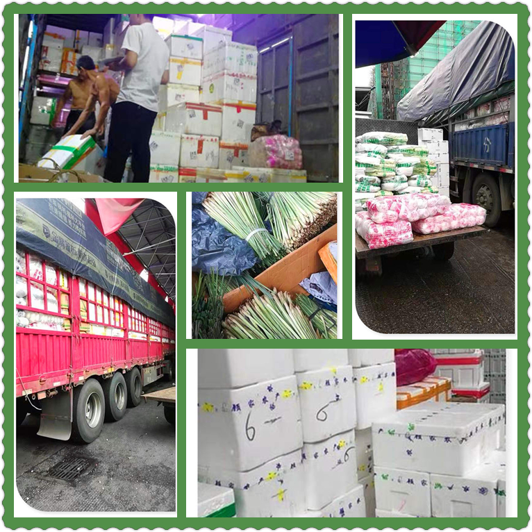 首页- 新宝GG集团创造事业平台