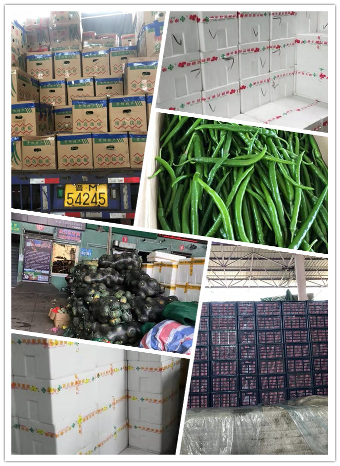 首页- 新宝GG集团创造事业平台