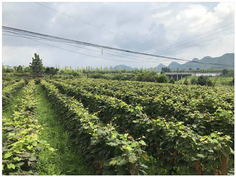 首页- 新宝GG集团创造事业平台