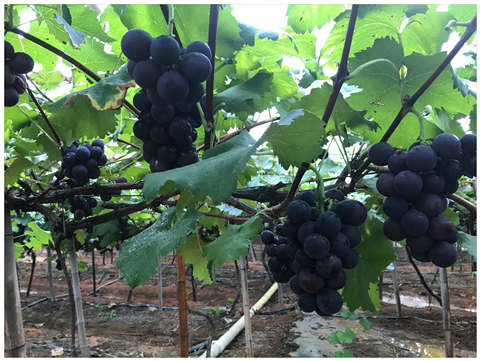 首页- 新宝GG集团创造事业平台