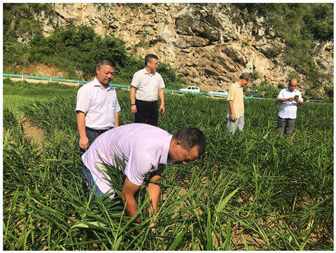 首页- 新宝GG集团创造事业平台