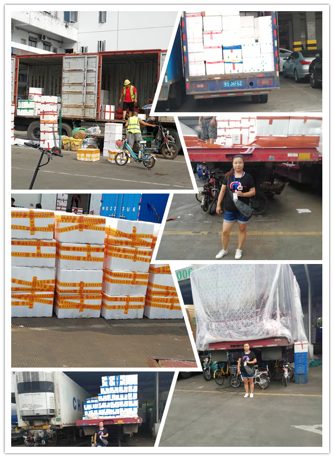 首页- 新宝GG集团创造事业平台