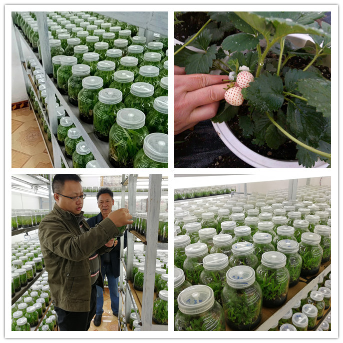 首页- 新宝GG集团创造事业平台