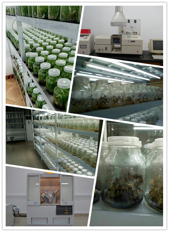 首页- 新宝GG集团创造事业平台