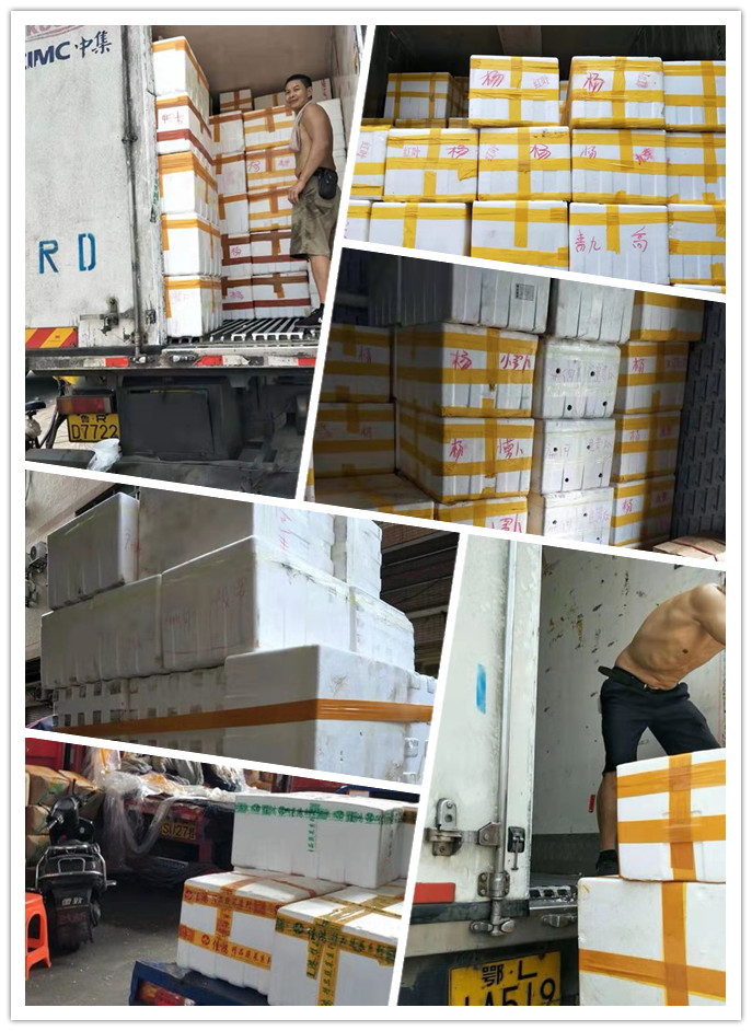 首页- 新宝GG集团创造事业平台