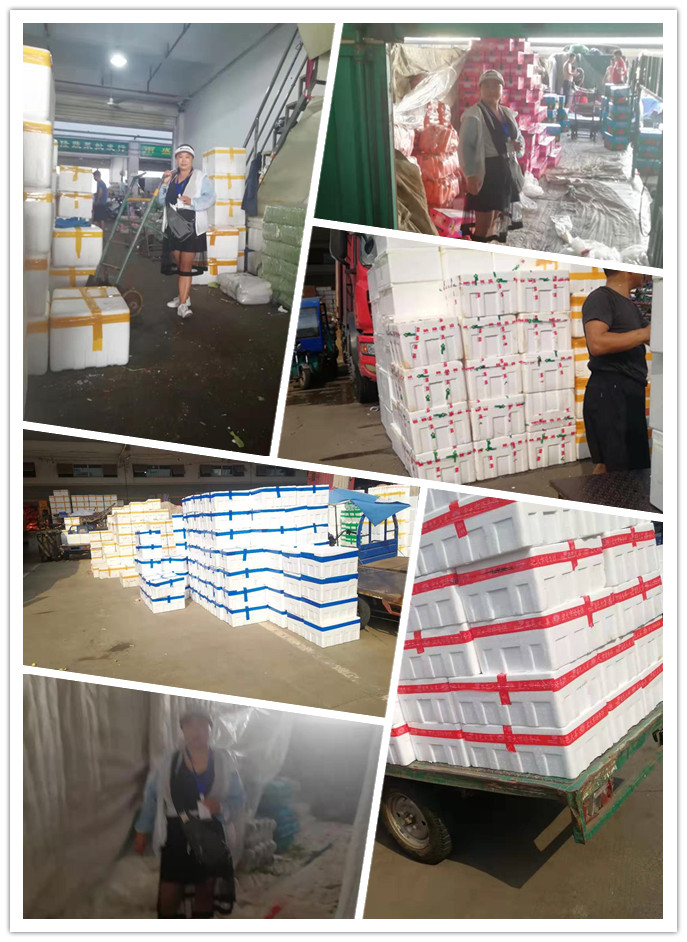 首页- 新宝GG集团创造事业平台