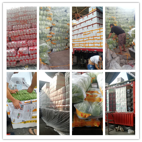 首页- 新宝GG集团创造事业平台