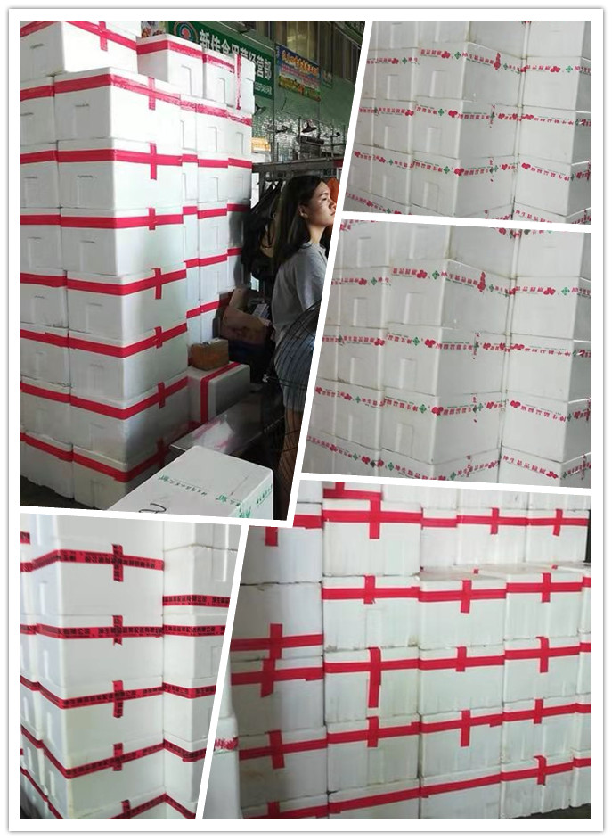 首页- 新宝GG集团创造事业平台