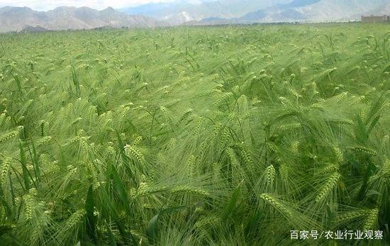 首页- 新宝GG集团创造事业平台