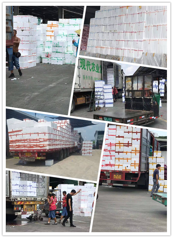 首页- 新宝GG集团创造事业平台