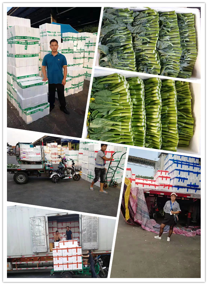 首页- 新宝GG集团创造事业平台