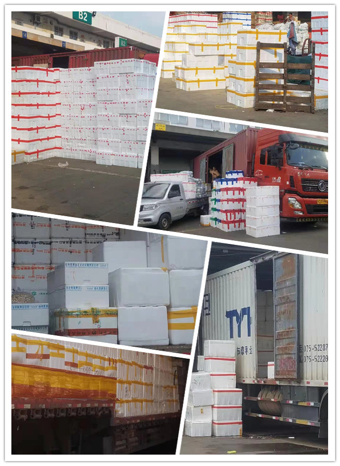 首页- 新宝GG集团创造事业平台