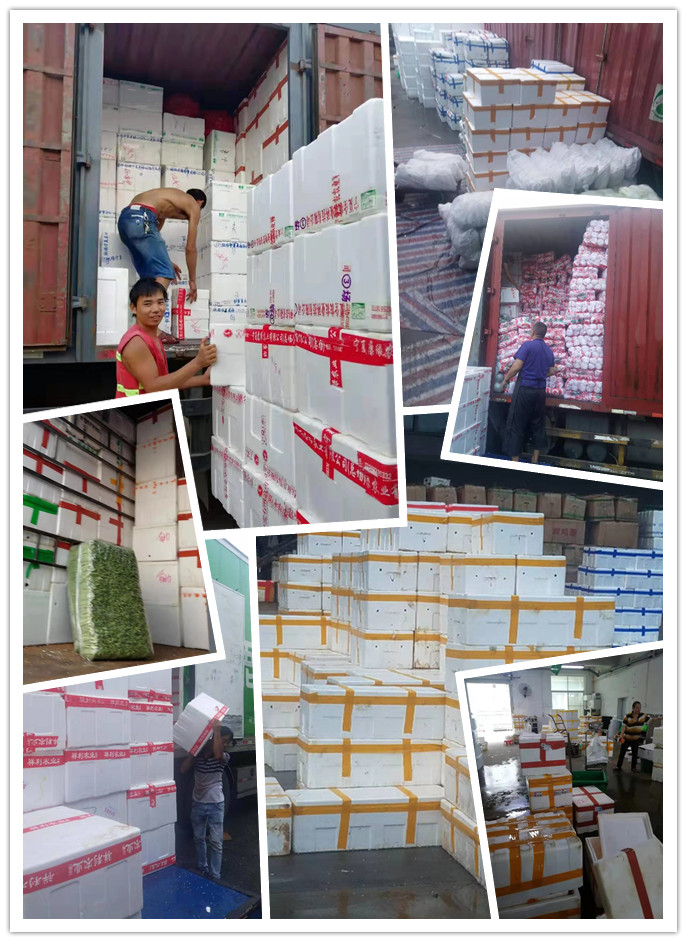 首页- 新宝GG集团创造事业平台