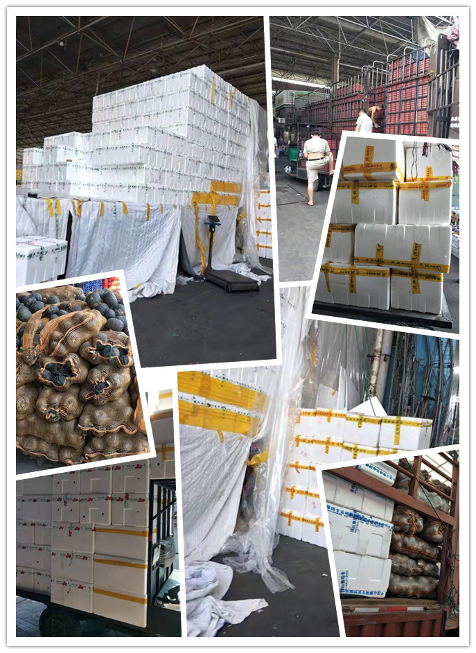 首页- 新宝GG集团创造事业平台