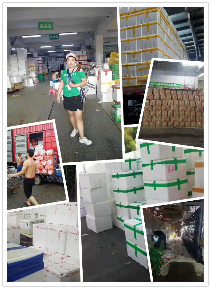 首页- 新宝GG集团创造事业平台