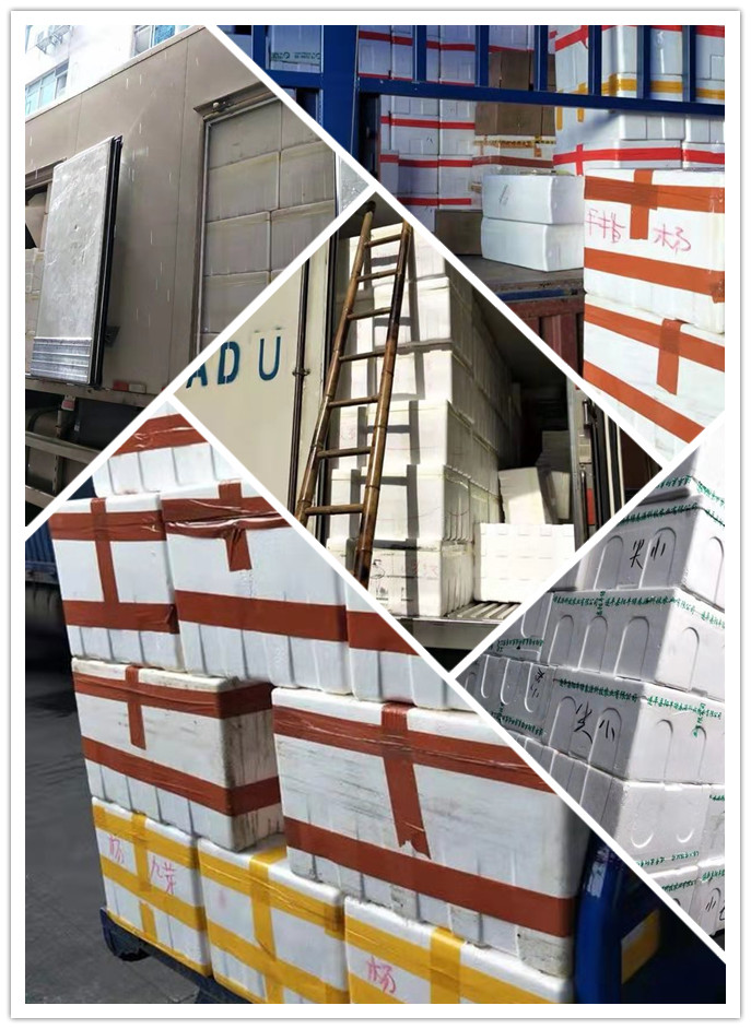 首页- 新宝GG集团创造事业平台