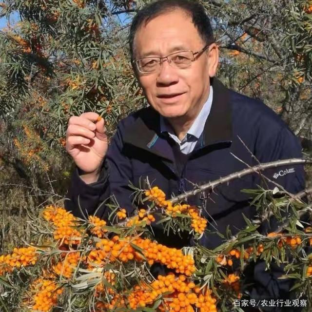 首页- 新宝GG集团创造事业平台