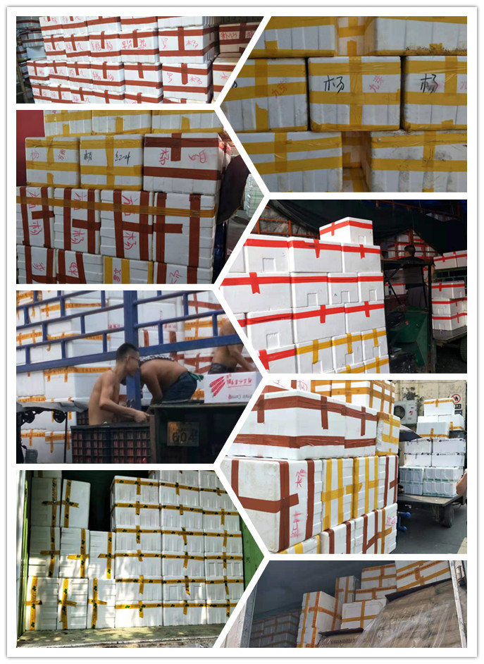 首页- 新宝GG集团创造事业平台